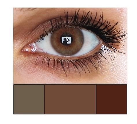 Chestnut Eyes Color, Brown Eye Color Chart, Soft Summer Brown Eyes, Brown Summer Color Palette, Soft Autumn Eyes, Dark Autumn Makeup, Brown Hazel Eyes, Dark Hazel Eyes, Brown Eye Color