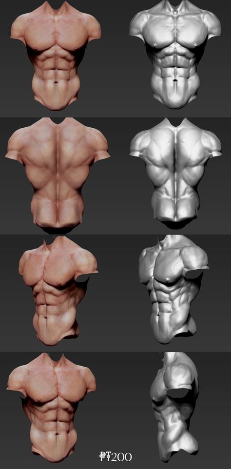 Man Back Anatomy Drawing Reference, Men’s Torso Drawing, Male Anatomy Diagram, Man's Anatomy Drawing, Man Anatomy Back, 3d Male Anatomy, Pectoral Reference, Torso Study Drawing, Male Anatomy Sculpture