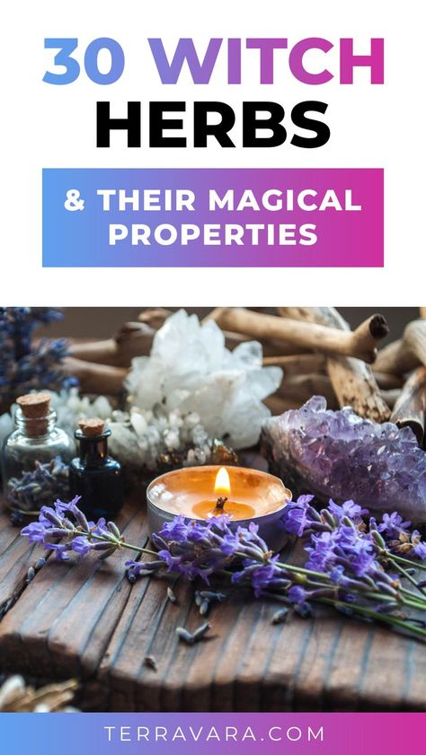 Witch herbs and their magical properties. Herbs Magical Uses, Sachets, Herb Magical Properties List, Spiritual Herbs Witches, Flowers Magical Properties, Basic Witch Herbs, Witch Craft Herbs, Raspberry Leaf Magical Properties, Herbs Magical Properties