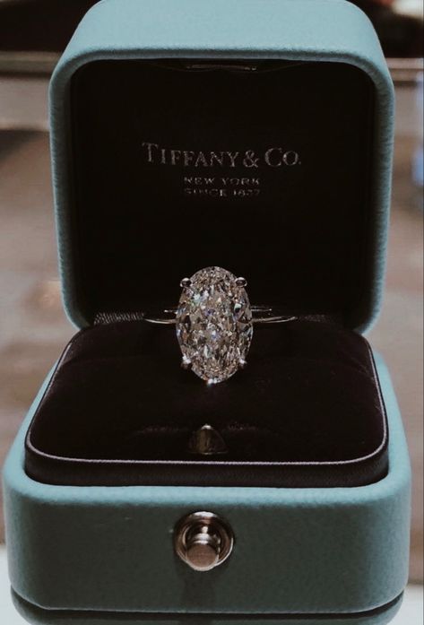 Tiffanys Wedding Rings, Jasmine Tookes Wedding Ring, Luxury Engagement Rings Tiffany And Co, Rock Engagement Rings, Engagement Ring Aesthetic, Wedding Ring Aesthetic, Oval Wedding Rings, Tiffany Engagement Ring Round Tiffany & Co., Tiffany Engagement Ring Tiffany & Co.