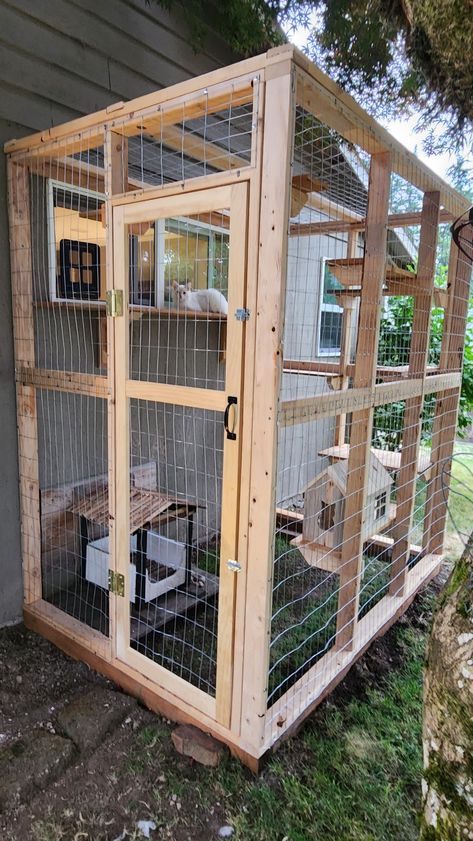 Diy Cat Cage Outdoor, Easy Diy Catios, Catio Plans How To Build, Cat Enclosure Ideas, Cat Room Outdoor, Cat Set Up, Catios Ideas For Cats, Catio Patio, Iguana Enclosure