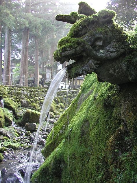 Zen Dragon Fountain, Eiheiji. Dragon Poses, Jungle Temple, Dragon Sculpture, Moss Garden, Hanging Garden, Forest Park, Outdoor Sculpture, Green Art, Best Music