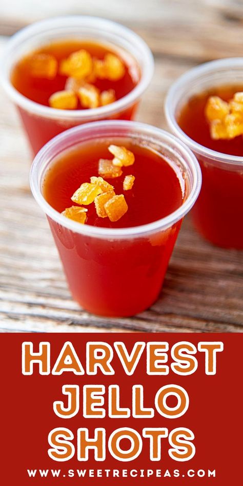 Jello Shots With Caramel Vodka, Fall Shots Recipes, Orange Jello Shots Tequila, Fall Themed Jello Shots, Cranberry Orange Jello Shots, Oktoberfest Jello Shots, Thanksgiving Jello Shots Vodka, Pumpkin Spice Jello Shots, Caramel Apple Jello Shots Recipes