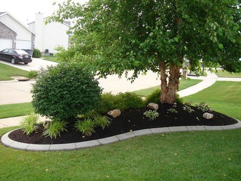 Add Curb Appeal with These Ideas! Front Landscape, Front Lawn Landscaping, Add Curb Appeal, Landscaping Around Trees, Front Yards Curb Appeal, Landscape Curbing, Front Yard Landscaping Diy, Small Front Yard Landscaping, Front Yard Garden Design