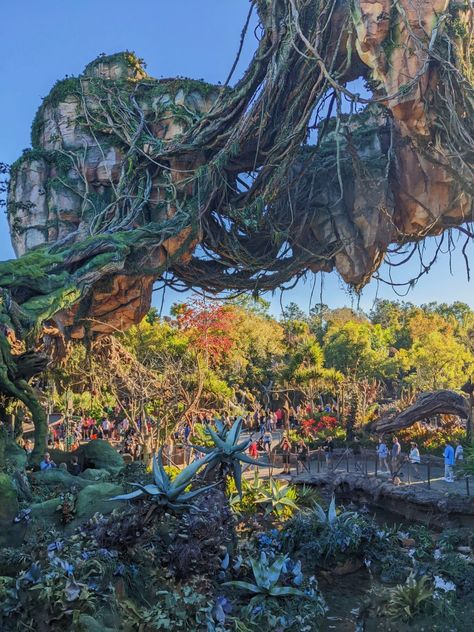 Pandora World Of Avatar Disney World, Walt Disney World Animal Kingdom, Pandora Avatar Disney, Pandora Disney World, Avatar Disney World, Avatar Flight Of Passage, Avatar Land, Pandora World, Flower Kingdom