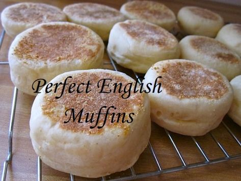 Tiny Farm Big Family English Muffins, Recipe For English Muffins, Honey Wheat English Muffin Recipe, Buttermilk English Muffins, Thomas English Muffins Recipes, Best English Muffin Recipe, Home Made English Muffins, Diy English Muffins, How To Make English Muffins