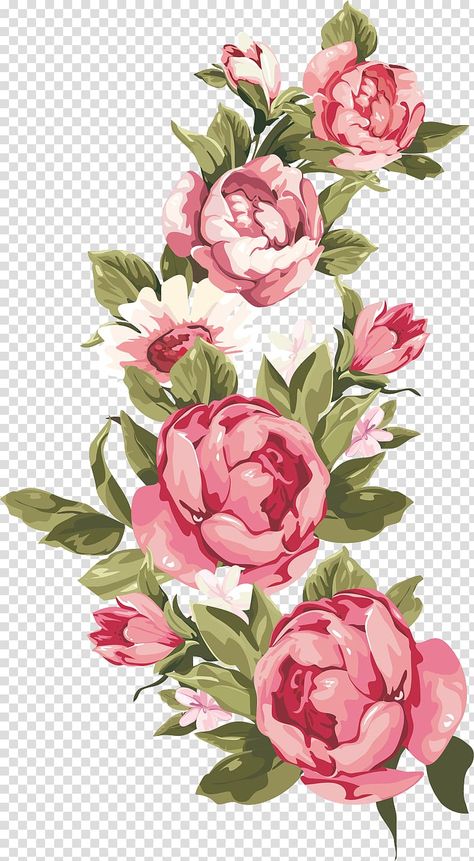 Rose Flower Png, Peony Illustration, Flower Borders, Flower Graphic Design, Rose Illustration, Flowers Illustration, Pink Watercolor Flower, Floral Border Design, Pink Rose Flower