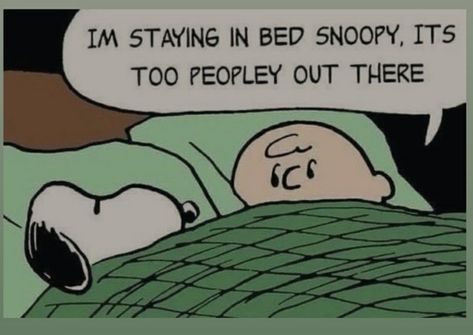 Charlie Brown Aesthetic, Peanuts Cartoon Quotes, Peanuts Art, Woodstock Charlie Brown, Charlie Brown Quotes, Snoopy And Charlie Brown, Peanuts Charlie Brown, Snoopy Wallpaper, Snoopy Quotes