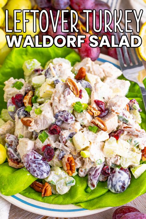 Turkey Waldorf Salad Recipe, Turkey Waldorf Salad, Turkey Salad Recipe With Grapes, Turkey Salad Sandwich, Turkey Salad Recipe, Turkey Apple, Waldorf Salad Recipe, Super Salad, Holiday Recipes Thanksgiving