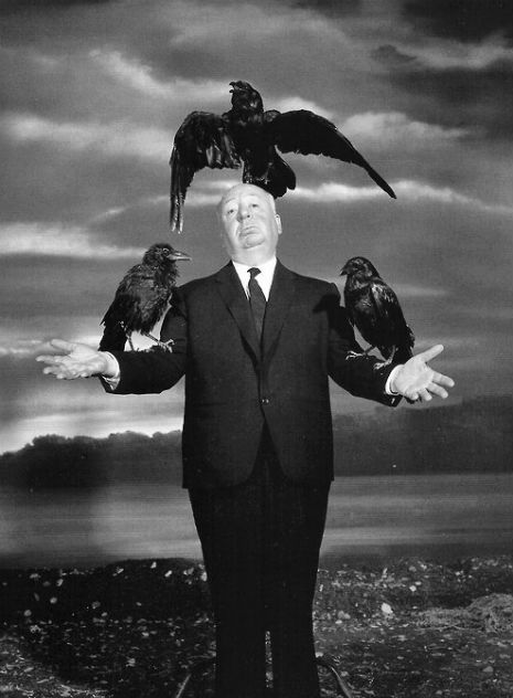 A video montage of every Alfred Hitchcock cameo | Dangerous Minds Alfred Hitchcock The Birds, Philippe Halsman, Life Magazine Covers, Alfred Hitchcock Movies, Horror Vintage, Photo Star, Photography Movies, Life Cover, Septième Art