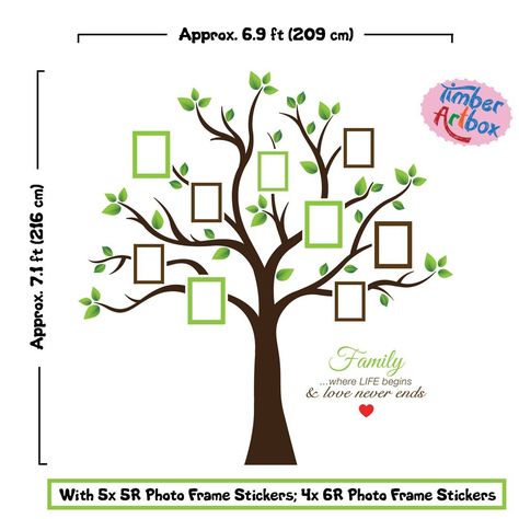 Family Tree Photo Frame, Photo Frames Wall, Photo Frame Tree, Family Tree Picture Frames, Simple Wall Paintings, Family Tree With Pictures, Family Tree Photo, Frame Wall Collage, Large Family Photos