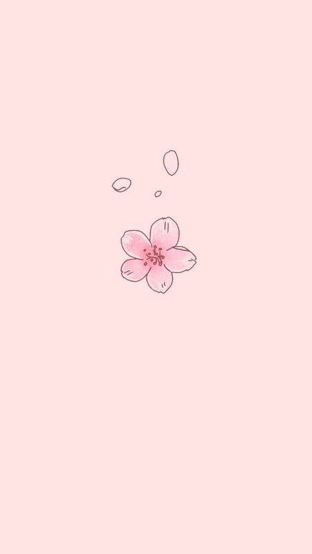 Cute Aesthetic Pink Wallpaper, Xo Kitty Aesthetic, Cherry Blossom Wallpaper Iphone, Aesthetic Pink Wallpaper, Iphone Wallpaper Cute, Xo Kitty, Blossom Wallpaper, Cherry Blossom Wallpaper, Kitty Aesthetic