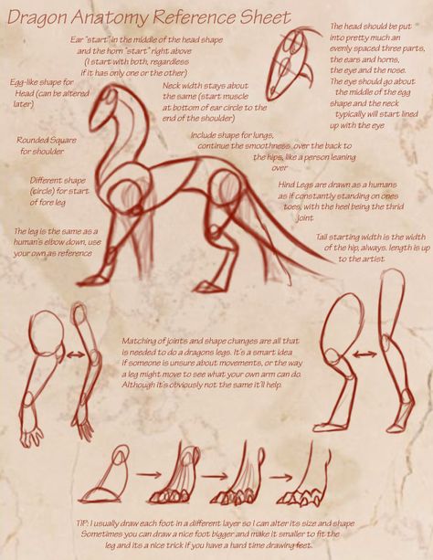 Dragon Anatomy Reference Sheet by KyriaDori on DeviantArt Dragon Anatomy, Male Figure Drawing, Creature Fantasy, Dragon Sketch, Different Poses, Reference Sheet, Creature Drawings, Dragon Artwork, Dragon Drawing