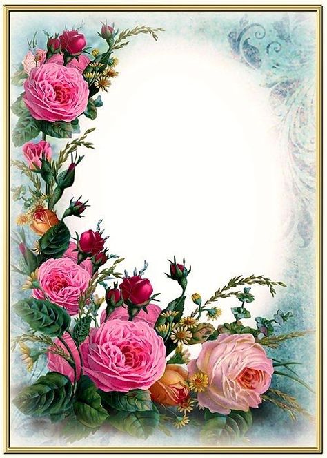 Floral Frame, Pink Roses, Photo Frame, Pink Flowers, Roses, Frame, Flowers, Floral, Green