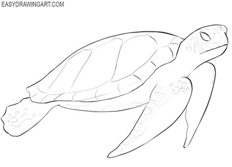 How to Draw a Sea Turtle - Easy Drawing Art Turtles Drawing Easy, Sea Turtle Cartoon Drawing, Beach Animals Drawing, Turtle Sketch Pencil Drawings, Cute Turtle Drawing Easy, How To Draw A Sea Turtle, Sea Turtle Drawing Sketches, Turtle Easy Drawing, How To Draw A Turtle