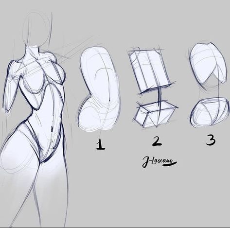 Understanding Anatomy, Perspective Studies, Female Anatomy Reference, Human Body Drawing, Drawing Female Body, Body Construction, Body Drawing Tutorial, Human Anatomy Drawing, Body Sketches