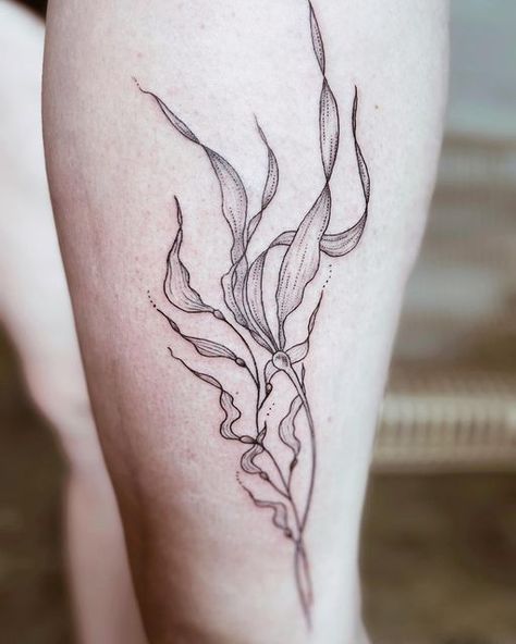 Algae Tattoo Design, Seaweed Wrap Around Tattoo, Sea Turtle Seaweed Tattoo, Kelp Tattoo Design, Feminine Sea Tattoo, Seaweed Tattoo Simple, Water Plants Tattoo, Ocean Plant Tattoo, Bull Kelp Drawing