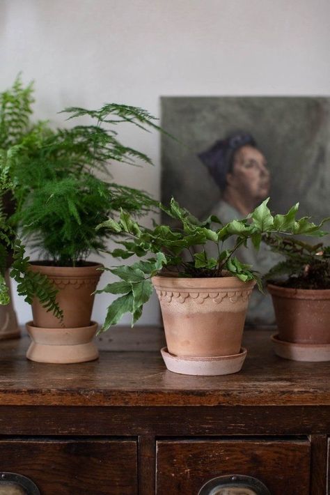 Bergs Potter Copenhagen, Parisian Interior Decor, Natural Homes, Interior Decorating Styles, Decorating Style, Plant Shelves, Decor Minimalist, Plant Mom, Plant Pots