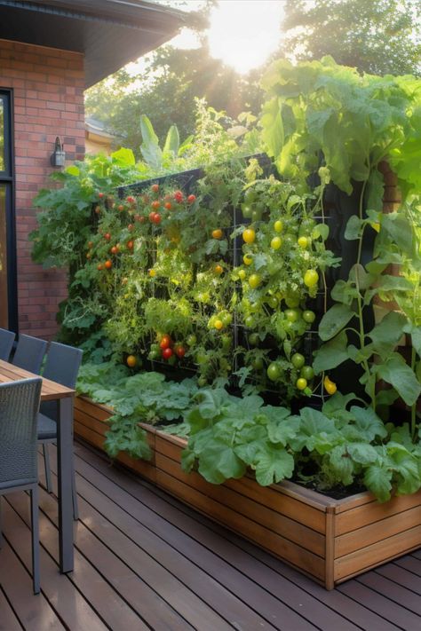 Small Garden Design Veggies Planter Boxes, Vertical Garden Wall Vegetables, Small Garden Vegetable Layout, Vertical Garden Small Spaces, Small Veggie Garden Ideas Space Saving, Wall Veggie Garden, Small Yard Garden Ideas Vegetable, Small Yard Planting Ideas, Vegetable Garden Retaining Wall