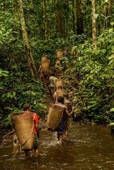 Central African Republic Aesthetic, Africa Culture Aesthetic, African Village Aesthetic, African Culture Aesthetic, African Islands, African Landscape Photography, African Kingdom, Africa Aesthetic, Africa Countries