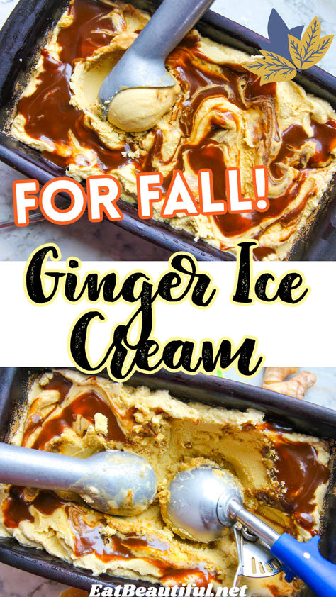 You’re going to LOVE Spicy Ginger Swirl Ice Cream. Get ready for the yummiest ice cream flavor to enjoy all this fall and into the holidays! | fall | holiday | paleo | aip | vegan | keto | ice cream | fall desserts | fall ice cream flavors | fall ice cream recipes | fall ice cream ideas | egg free desserts Fall Homemade Ice Cream, Homemade Pumpkin Ice Cream Recipes, Fall Ice Cream Recipes, Fall Ice Cream Flavors, Pumpkin Spice Ice Cream Recipe, Paleo Pumpkin Ice Cream, Fall Ice Cream, Best Ice Cream Flavors, Ginger Ice Cream