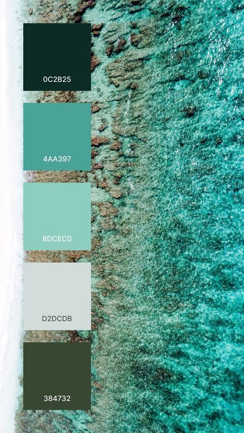 A good colors that work together in a color palette:
0C2B25
4AA397
8DCEC0
D2DCDB
384732 Green Color Pallet, Color Thesaurus, Milk Products, Color Design Inspiration, Sea Green Color, Color Pallete, Color Schemes Colour Palettes, Color Vibe, Sea Colour