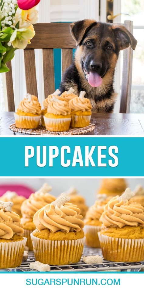 Pup Cakes Recipe Easy, Peanut Butter Cupcakes For Dogs, Cake Pops For Dogs Recipe, Dog Friendly Cake Frosting, Cake Frosting For Dogs, Pumpkin Cupcakes For Dogs, Peanut Butter Frosting For Dogs, Pupcakes Dog Easy Pumpkin, 3 Ingredient Dog Cake Recipe