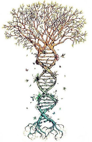 Dna Drawing, Dna Art, Dna Tattoo, Biology Art, Drawings Ideas, Medical Art, Homeschool Science, Anatomy Art, Science Art