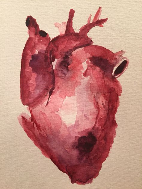 Human Heart Watercolor, Heart Drawing Watercolor, Red Heart Painting, Heart Watercolor Painting, Human Heart Art, Watercolour Heart, Male Character Design, Heart Watercolor, Romantic Couple Poses