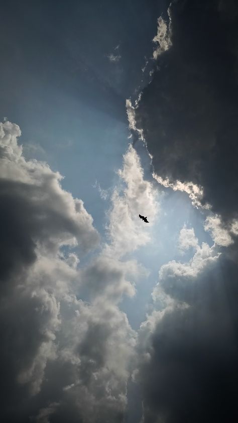 Flying Eagle Wallpaper, Flying Eagle Photography, Aesthetic Eagle, Eagle Aesthetic, Eagle Background, Home Screen Wallpaper Hd, Cloud Photography, Vector Portrait Illustration, Eagle Flying