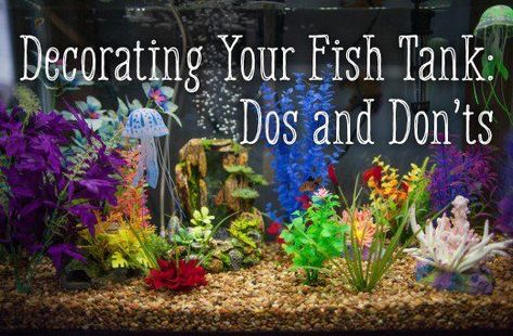 Tips for how to safely decorate your fish tank. Glofish Tank, Cool Fish Tank Decorations, Fish Aquarium Decorations, Fish Tank Themes, Cool Fish Tanks, Tropical Fish Tanks, Tropical Fish Aquarium, Tropical Freshwater Fish, Fresh Water Fish Tank