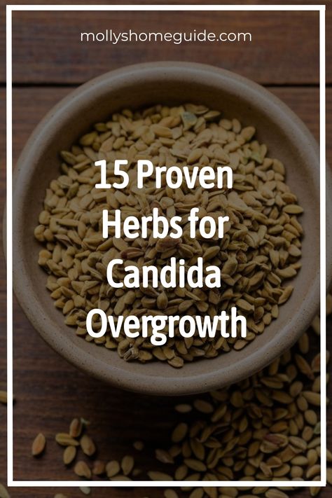 Explore the power of natural antifungal supplements and herbs in combating candida overgrowth. Discover effective herbal remedies and antifungal foods to reduce candida symptoms. Find ways to treat candida naturally with these potent herbs for candida removal. Say goodbye to candida overgrowth with these natural antifungals and supplements. Take control of your health and incorporate these proven natural remedies for a healthier, balanced gut flora. Herbs For Candida Overgrowth, Antifungal Herbs, Herbs For Candida, Candida Overgrowth Remedies, Antifungal Foods, Candida Supplements, Candida Overgrowth Symptoms, Candida Symptoms, Holistic Health Nutrition