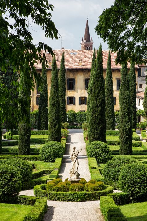 Italian Cypress, European Garden, Mediterranean Plants, Rustic Italian, Italian Landscape, Italian Countryside, Classic Garden, Italian Garden, Italian Villa