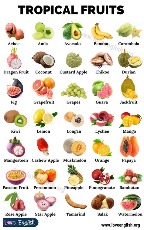 Tropical Vegetables, Fruits And Vegetables Names, Names Of Fruits, Fruits Name, Fruits And Vegetables List, Name Of Vegetables, Fruits Name In English, Fruit Names, List Of Vegetables