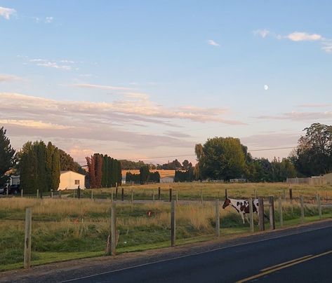 #aesthetic #country #western #horse #texas The Iron Claw Aesthetic, Western Texas Aesthetic, Appalachian Country Aesthetic, Country Americana Aesthetic, Rural Texas Aesthetic, South Texas Aesthetic, American South Aesthetic, Hill Country Aesthetic, Old Texas Aesthetic