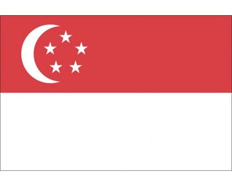 Singapore Flag Of Singapore, Singapore Flag, The British Empire, British Empire, August 9, Flags Of The World, Architecture Presentation, The Flag, Flag Design