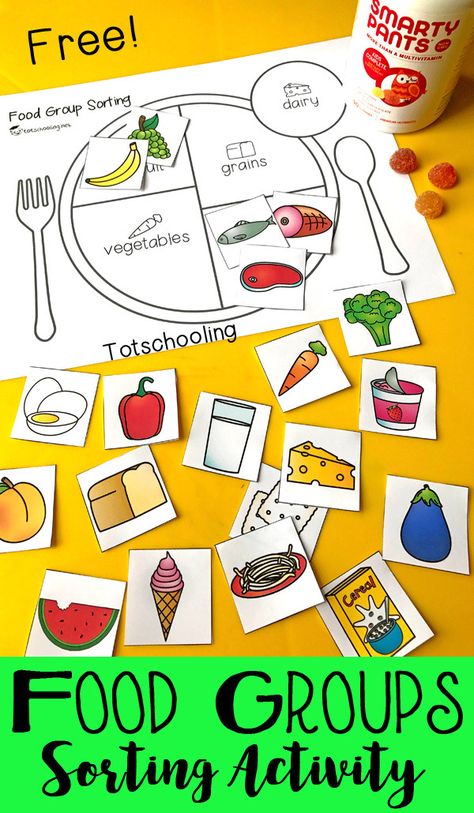 This food groups sorting activity is the perfect way to help kids learn the different food groups, as well as portion control. :: www.thriftyhomeschoolers.com Food Groups Preschool, Healthy Eating Kids, Healthy Food Activities, Preschool Food, Nutrition Activities, Food Activities, Food Pyramid, Food Groups, Sorting Activities