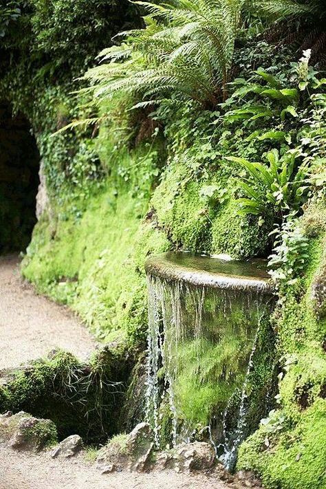 Pretty Fountain, Stone Waterfall Fountain, Fountain Installation, Fountain Decor, Overgrown Fountain, Cottagecore Fountain, Petrified Wood Fountain, Irish Garden, Moss Garden