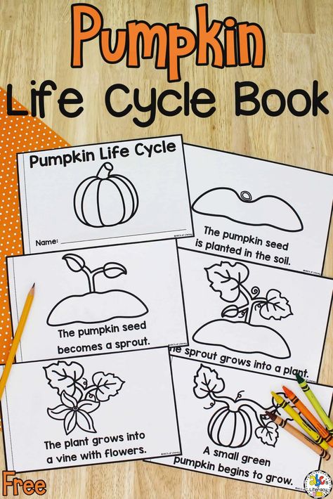 This free printable Life Cycle of a Pumpkin Book is a simple way to practice concepts of print and learn about how a pumpkin grows! Pumpkin Social Studies Preschool, Pre K Pumpkin Lesson Plans, Life Of A Pumpkin Activity, Pumpkin Life Cycle Craft Preschool, Pumpkin Lessons For Preschool, Pumpkin Preschool Printable, Kids Pumpkin Activities, Life Cycle Of Pumpkin Preschool, Free Pumpkin Life Cycle Printable