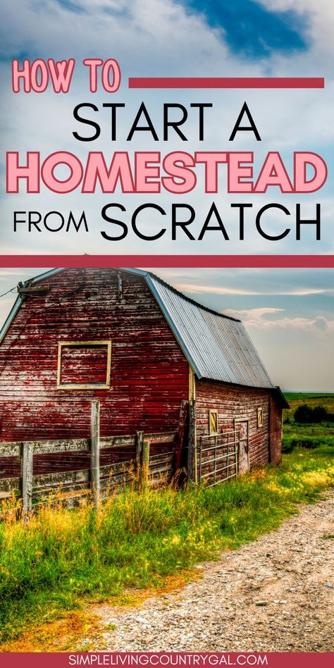 A complete guide to starting a homestead from scratch, helping you live a more self-sufficient life at home. Discover how to grow your own food and raise animals with easy steps to get started. Begin small and gradually expand your homestead as your skills and efficiency grow. Agriculture Business Plan, Start A Homestead, Homestead Layout, Sustainable Homestead, Starting A Farm, Self Sufficient Homestead, Living Off The Grid, Acre Homestead, Going Off The Grid