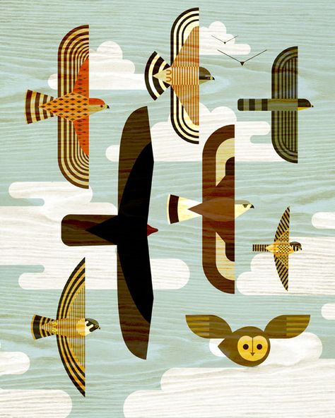 Scott Partridge, Turkey Vulture, American Kestrel, Charley Harper, Bird Graphic, Peregrine Falcon, Bird Quilt, Learn Art, Art Et Illustration