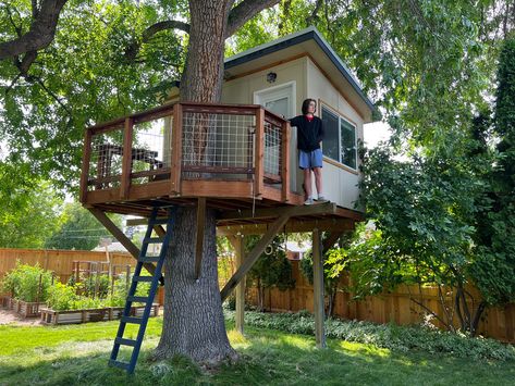 Built by our Customers – Treehouse Supplies Connected Treehouses, Modern Treehouse Kids, Treehouse Plans, Tree House For Hunting, Treehouse Platform Simple, Treehouse Construction, Custom Treehouse, Tree House In 25' Tree, Secret Base