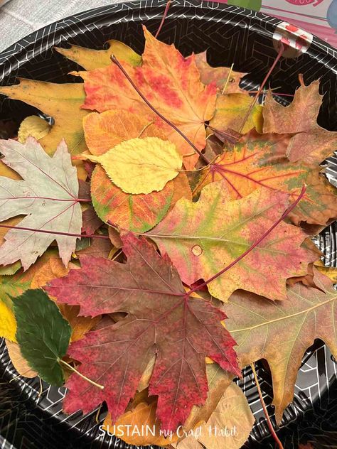 Preserve Fall Leaves How To, How To Preserve Autumn Leaves, Embroidery On Leaves, Preserve Fall Leaves, Crafts Using Leaves, Diy Fall Decor With Real Leaves, Fall Leaves Crafts For Adults, Fall Leaves Decorations, How To Dry Leaves For Crafts