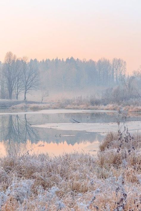 Pastel Winter, Snow Nature, Mountain Landscape Photography, Landscape Photography Tips, Winter Nature, Landscape Photography Nature, Winter Mornings, Winter Scenery, Winter Aesthetic