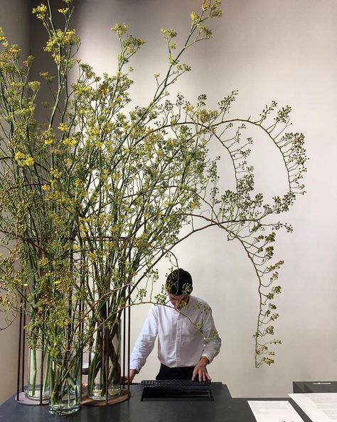 Leila Sanderson on Instagram: “Rose berries and fennel flowers for @katiemarxflowers at @theprincehotel” Hotel Flower Arrangements, Hotel Flowers, Ikebana Flower Arrangement, Flower Boutique, Flower Display, Organic Modern, Green Flowers, Green Plants, Ikebana