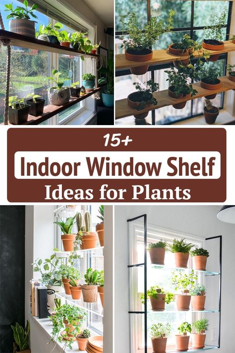 Window Ledge Plants Indoor, Indoor Window Sill Planter Ideas, Window Hanging Plants Diy, Atrium Plants Ideas, Bay Window Ideas Living Room Plants, Window Seat Plant Ideas, Plant Window Ledge, Plants As Window Treatments, Plant Stands For Windows