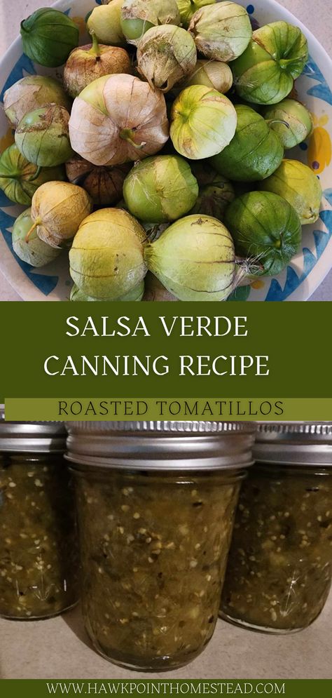 This Salsa Verde canning recipe from roasted tomatillos is a delicious easy salsa to make from ripe tomatillos. This roasted tomatillo Salsa Verde is great to eat with chips just like you would regular salsa. It is also wonderful on tacos, burritos, enchiladas and fajitas. There are many recipes you can use Salsa Verde with, such as chicken enchiladas, Salsa Verde chicken, green chili soup and many more! Green Chili Salsa Verde, Easy Salsa Verde, Blueberry Jalapeno Jelly Recipe, Salsa Verde Canning Recipe, Peach Pepper Jelly Recipe, Green Chili Soup, Jalapeno Jelly Recipes, Green Chili Salsa, Tomatillo Recipes