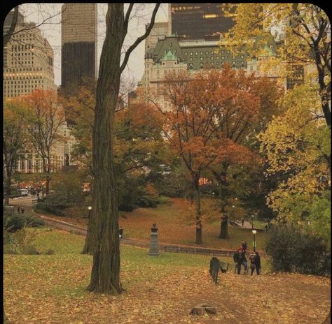 Leaves On The Ground, Rainy Street, Autumn In New York, Fall Inspo, Season Of The Witch, Fall Feels, Best Seasons, We Fall In Love, Autumn Cozy