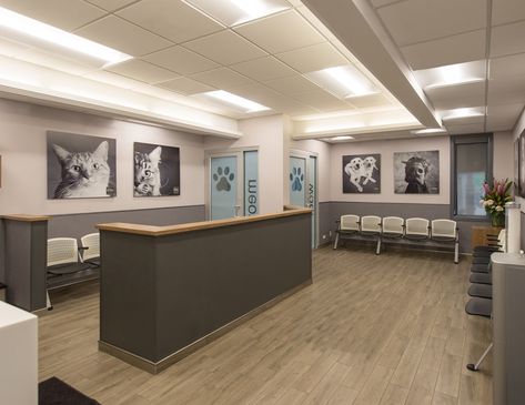 See how we can help you create or reimagine your veterinary practice facility into your vision of the perfect practice! Vet Office Decor, Veterinary Design, Veterinarian Office, Waiting Room Design, Vet Office, Medical Office Design, Vet Medicine, Hospital Architecture, Hospital Interior