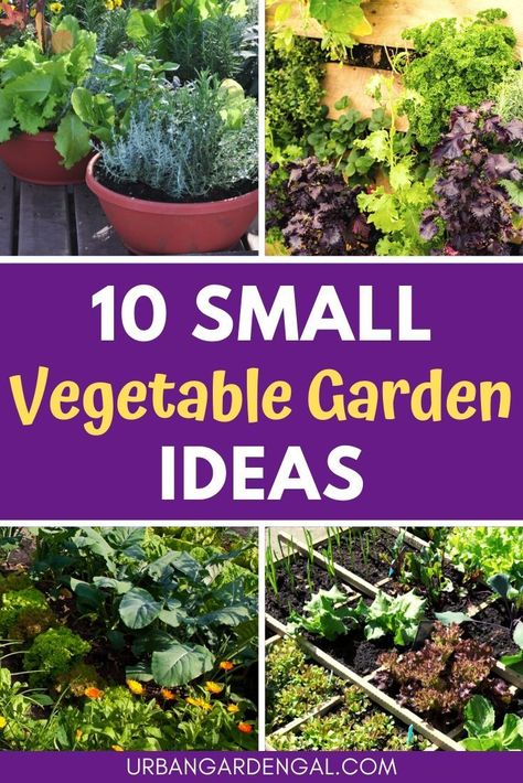 Small Vegetable Garden Ideas, Small Vegetable Garden, Vegetable Garden Layout Design, Small Garden Layout, Home Garden Ideas, Vegetable Garden Ideas, Vegetables Garden, Tattoo Plant, Small Vegetable Gardens